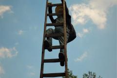 man-op-ladder-JvD