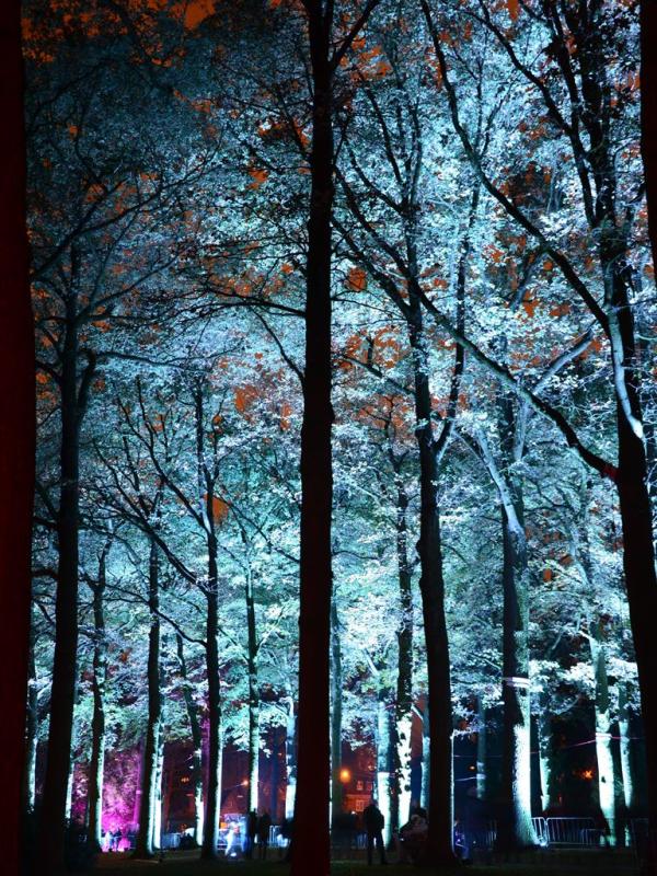 lichtspektakel in het bos - JR